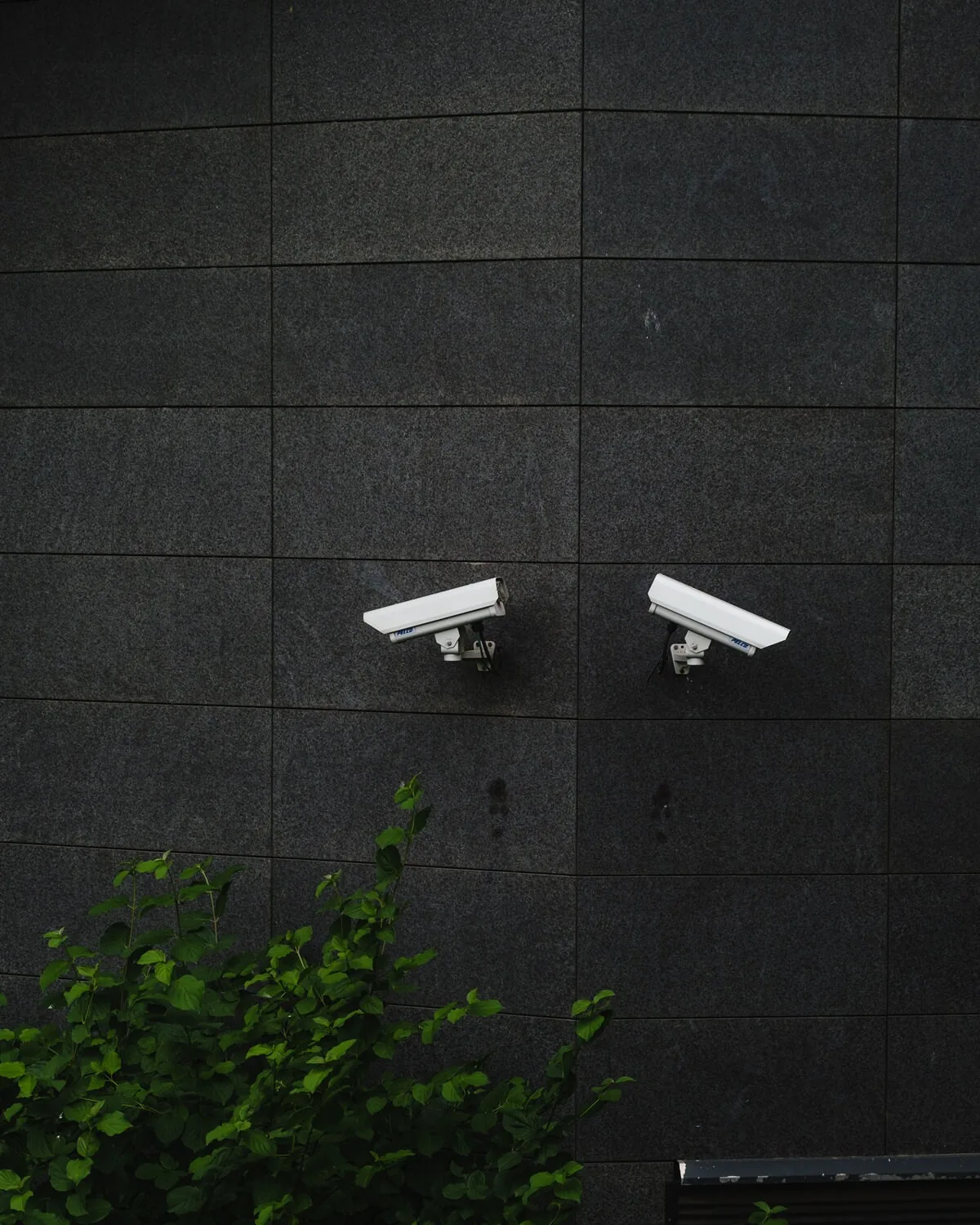 Cámaras instaladas para seguridad y televigilancia