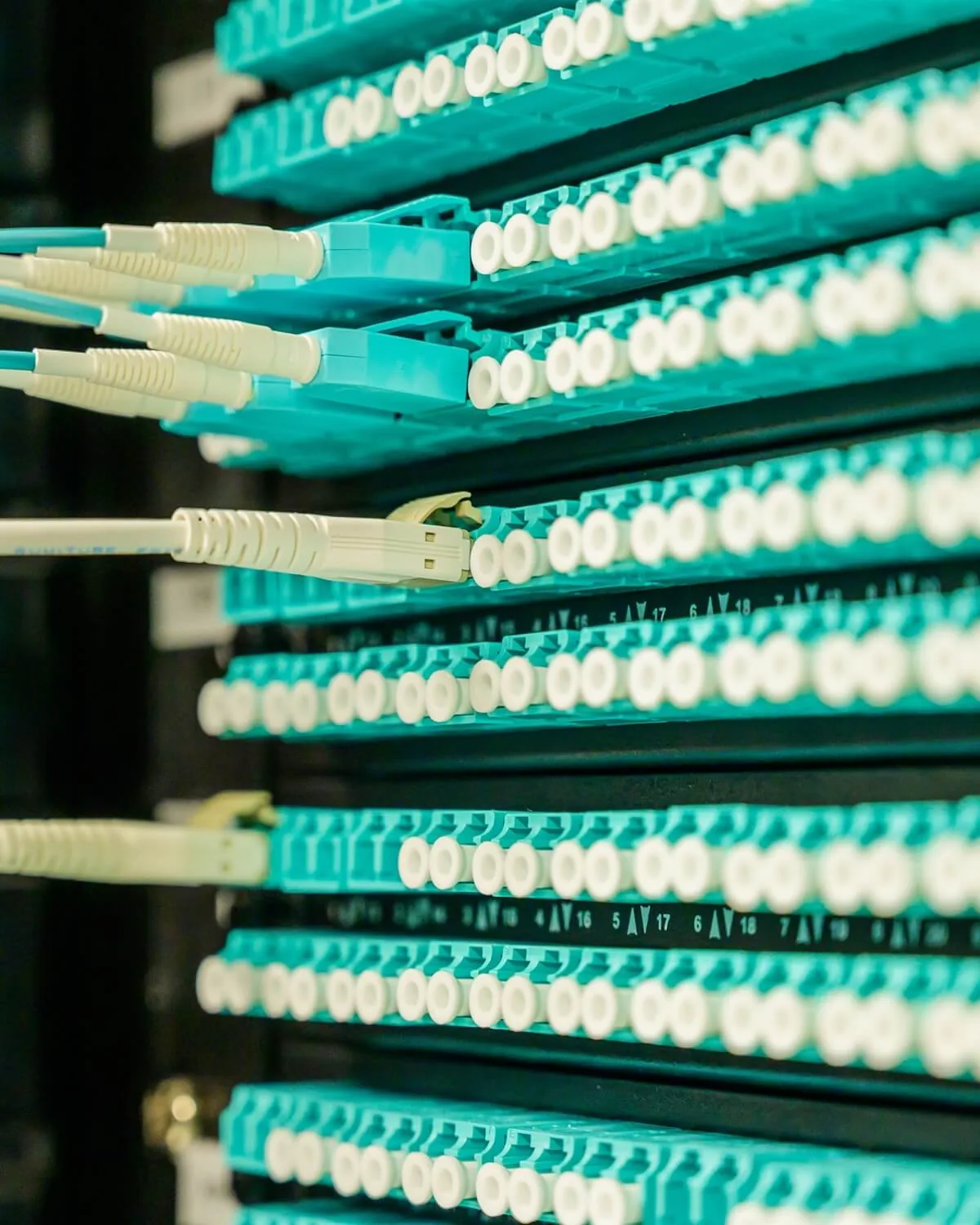 Panel de conexiones para infraestructura de telecomunicaciones